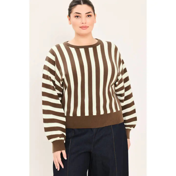 Espresso and Ivory Curve Sweater
