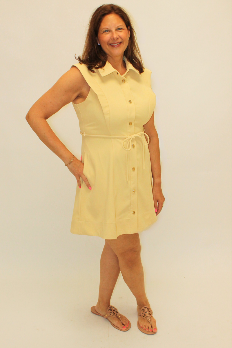 The Modern Classic Dress